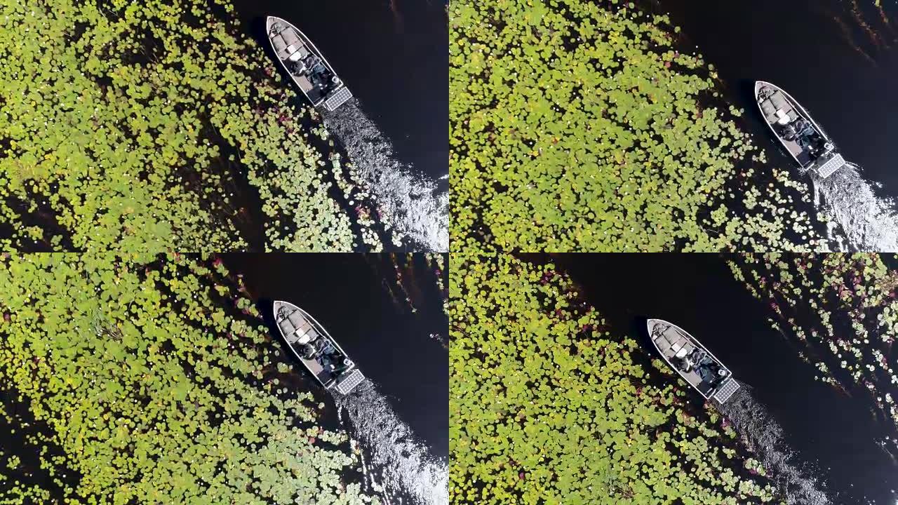 在奥卡万戈三角洲众多弯曲的水道之一上，一艘观光船在水上穿越的直下鸟瞰图