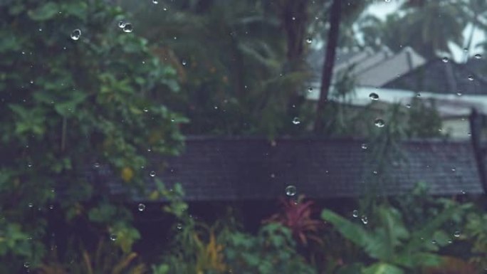 慢动作: 热带暴雨落在黑色屋顶和令人惊叹的外来植物上。