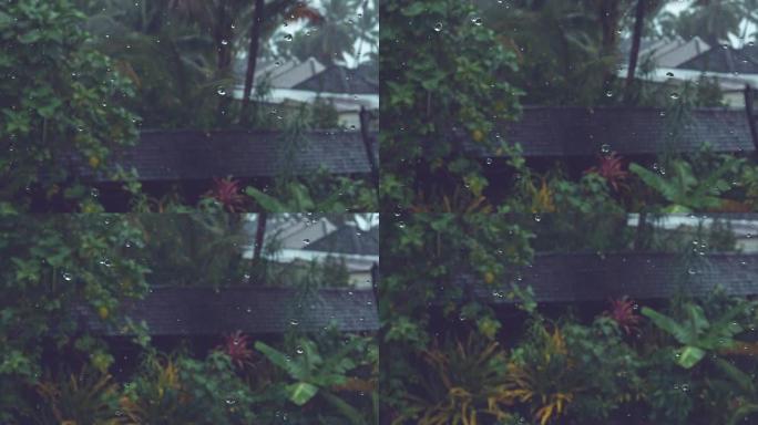 慢动作: 热带暴雨落在黑色屋顶和令人惊叹的外来植物上。