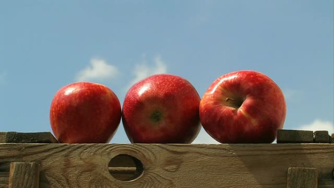 木箱上的红苹果-时间流逝