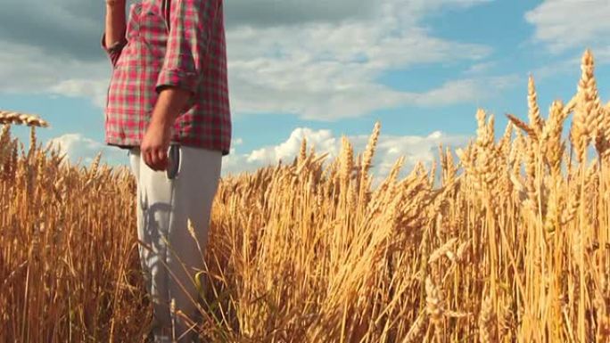 起重机镜头：农民站在麦田里眺望远方