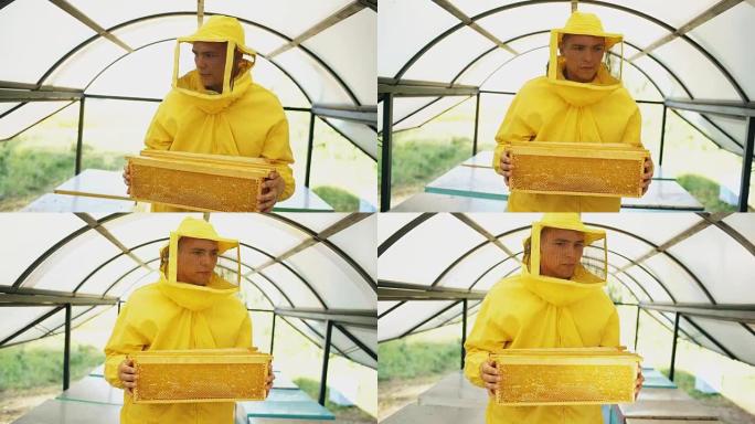 Stedicam拍摄的养蜂人与wodden框架在养蜂场中行走和检查蜂箱