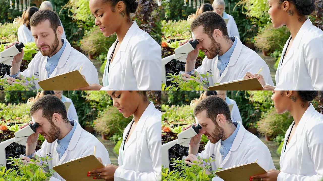 男性和女性植物学家分析植物样本