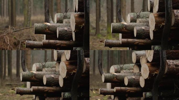 关闭，DOF: 砍伐的原木被运到锯木厂切成木材