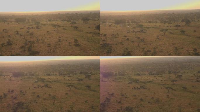 空中: Safari吉普车游戏将游客驱赶在稀树草原上行走的野象