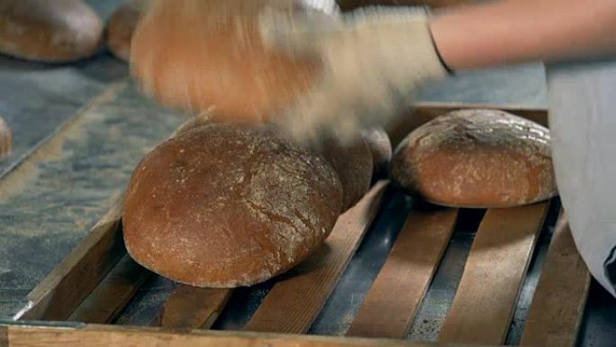 一名工人将热的圆形面包收集到一个木托盘中进行包装。