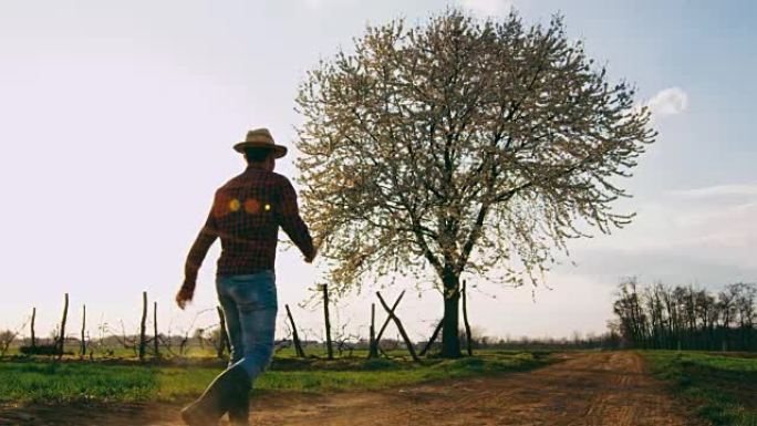 嬉戏，旺盛的农民在田园诗般的乡村土路中欢呼雀跃，慢动作