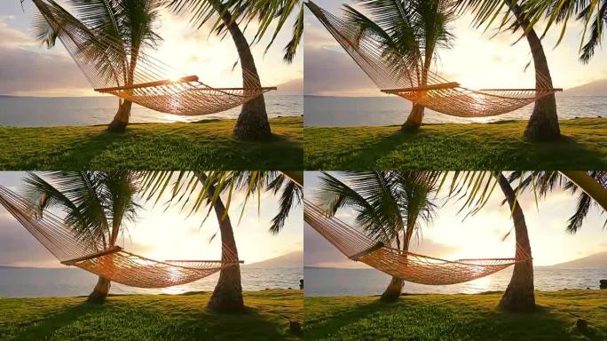 日落时的吊床和棕榈树。