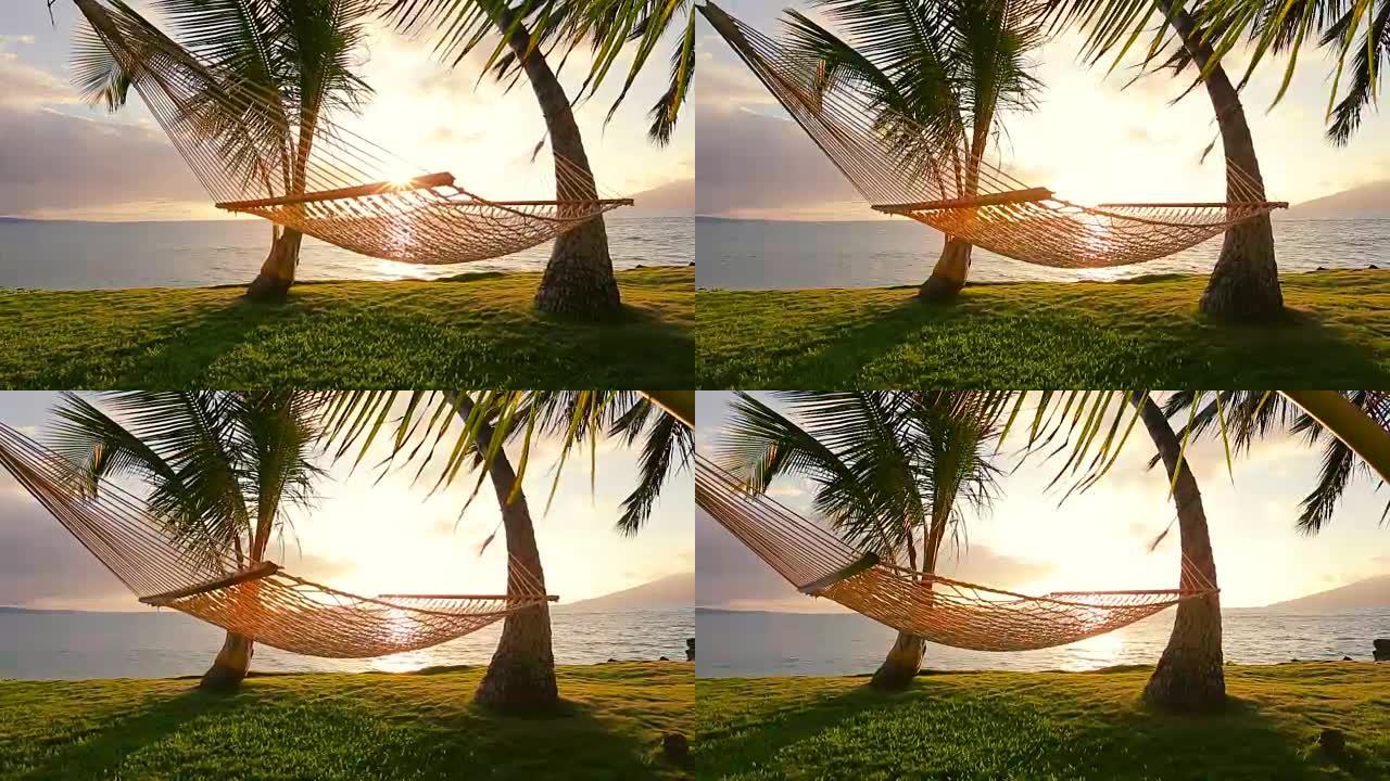 日落时的吊床和棕榈树。