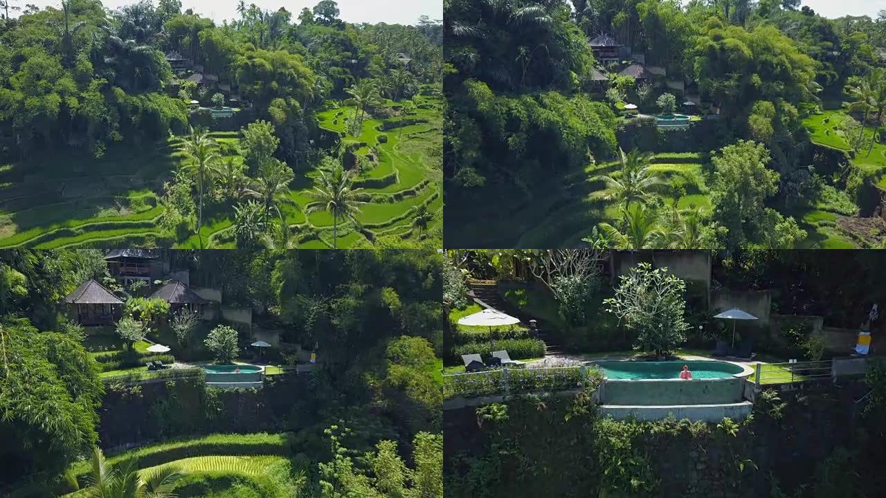 空中: 巴厘岛水稻梯田上方豪华度假胜地的无边泳池中的女人