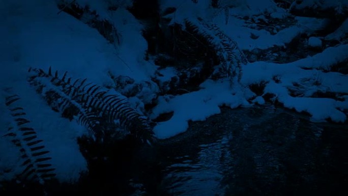 夜间在白雪皑皑的森林中经过溪流