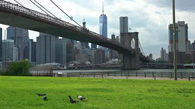 布鲁克林大桥公园，鸽子，曼哈顿金融区和自由大厦
