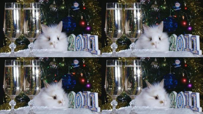 白兔和一棵圣诞树白兔和一棵圣诞树
