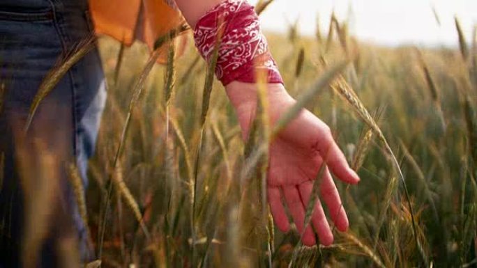 一个农家女孩在田里抚摸着麦穗