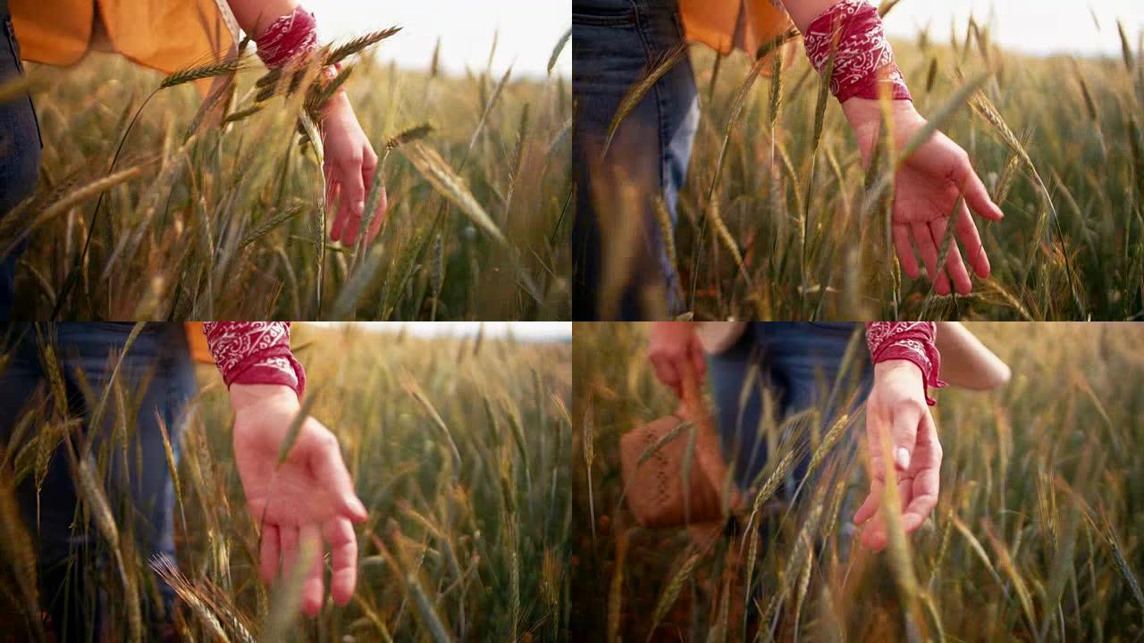 一个农家女孩在田里抚摸着麦穗