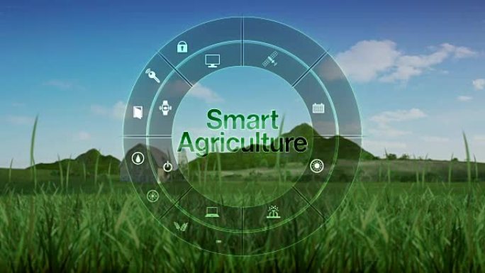 圆形信息图形图标中的智能农业，智能农业，物联网。第四次工业革命。
