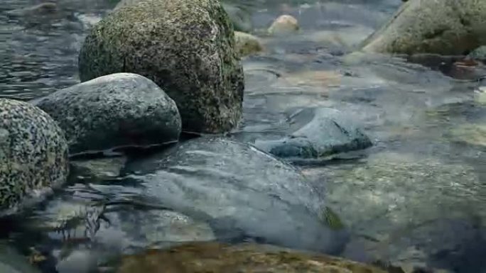 沿着洛基河特写移动