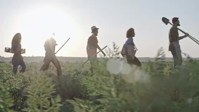 在田间行走的年轻农民的剪影