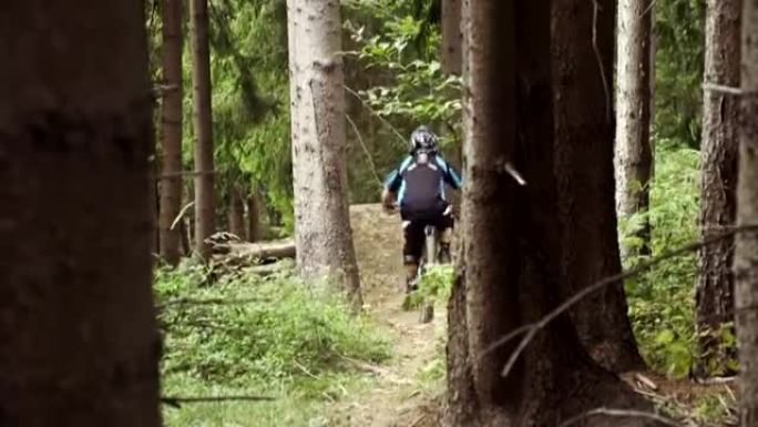 森林中的下坡自行车手