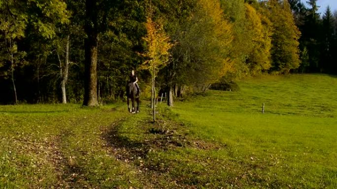 年轻女子在森林里骑马