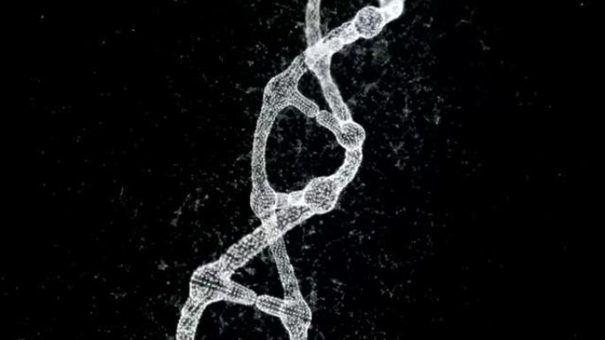 丛DNA分子模型