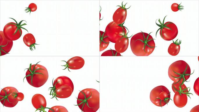 西红柿在白色背景上滚动