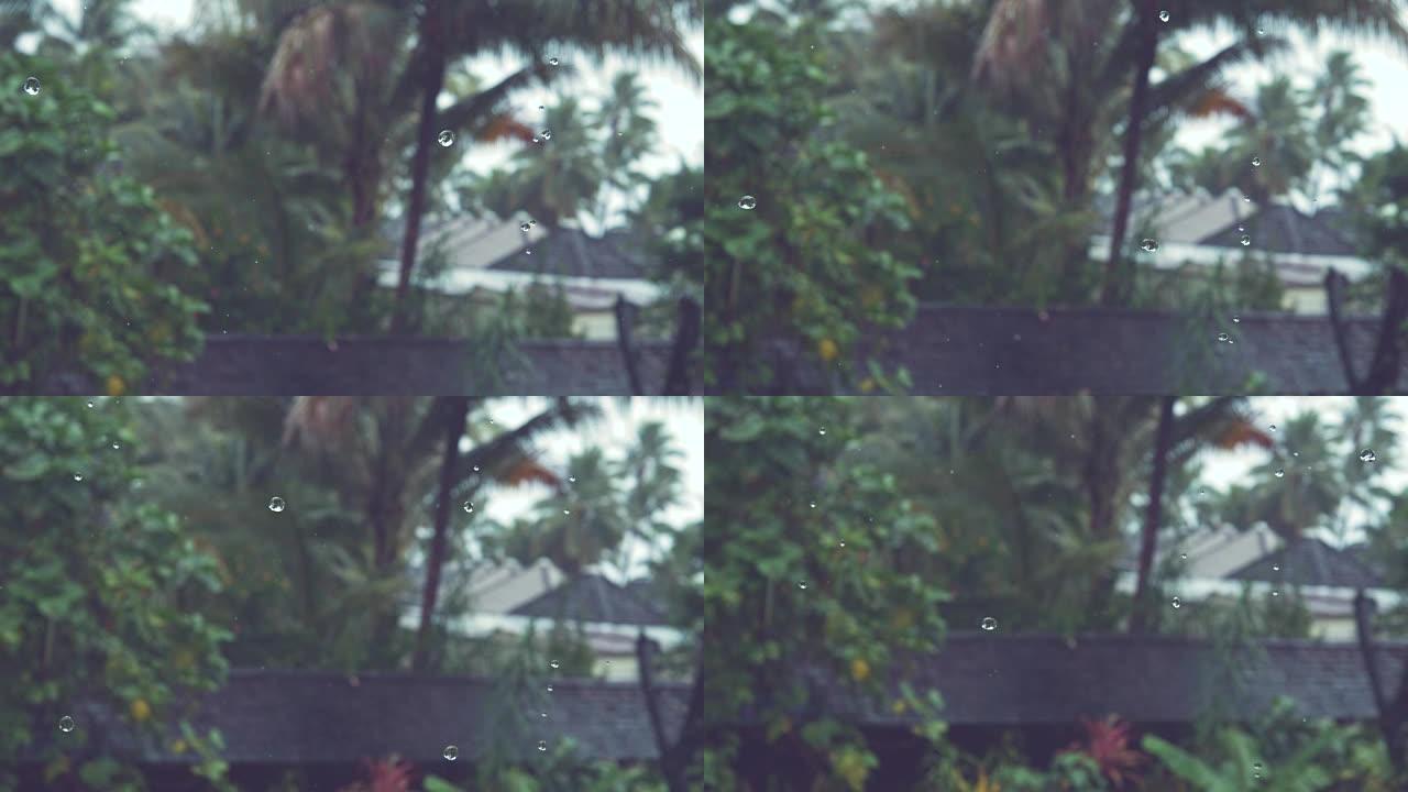 慢动作: 季风雨落在热带海滨房屋郁郁葱葱的后院。