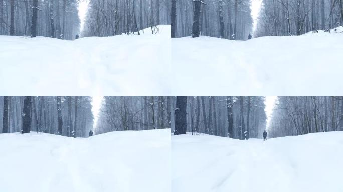落雪在积雪覆盖的树木的冬季森林中，一名男子站在森林中间慢动作