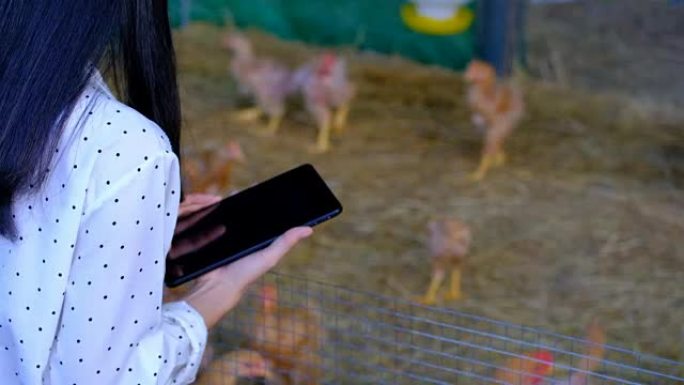 亚洲女农场主用数字平板电脑在养鸡场、智能农业和技术概念