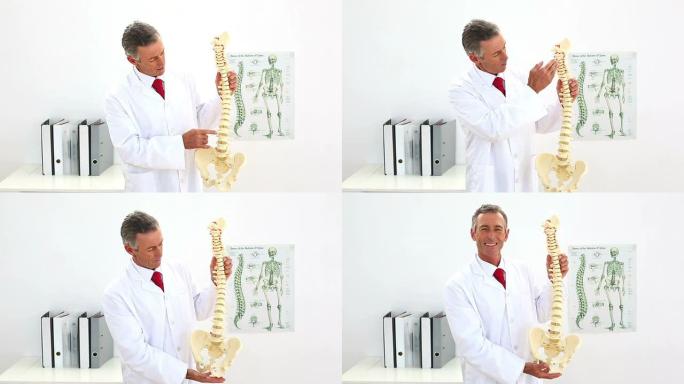 医生指向骨架模型