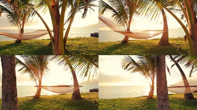 日落时的吊床和棕榈树。后院海滨房地产。毛伊岛