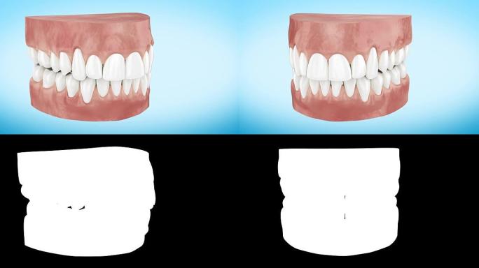 美丽的白色清洁牙齿翻特写3d动画。阿尔法通道。