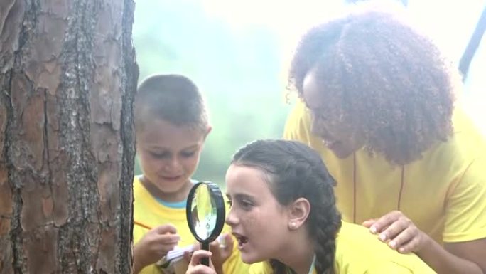 探索自然、夏令营或科学课的儿童
