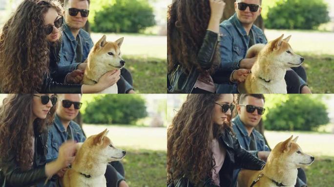 幸福的夫妻女友和男朋友正在公园里拍拍可爱的小狗聊天。女人和男人都穿着便服和墨镜，美丽的公园在背景中。