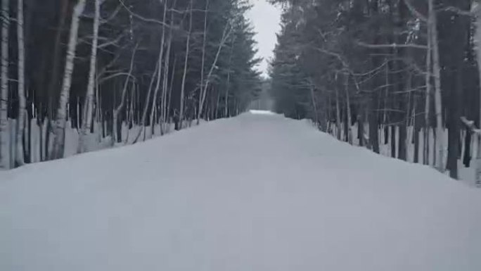 冬天沿着森林路行驶