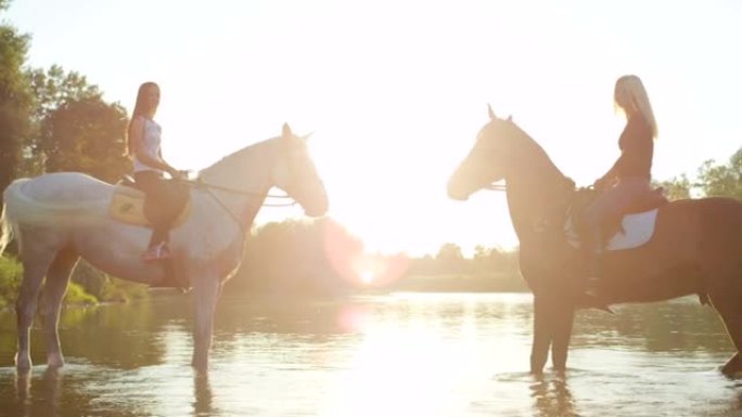 特写: 两匹强壮的马，骑手站在河中，彼此面对