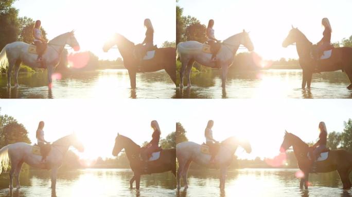 特写: 两匹强壮的马，骑手站在河中，彼此面对