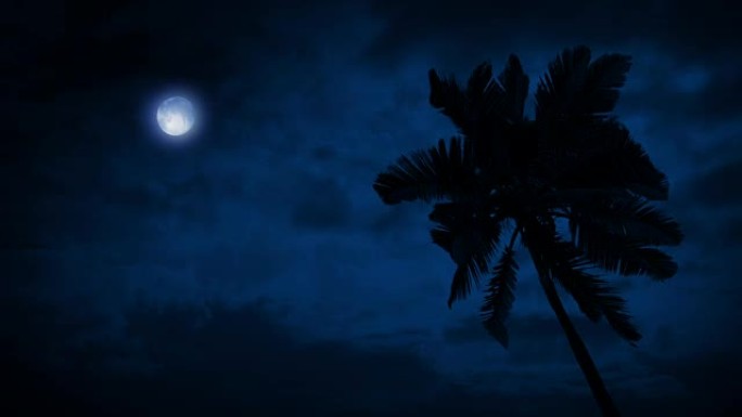 微风中的棕榈树，上面的月亮