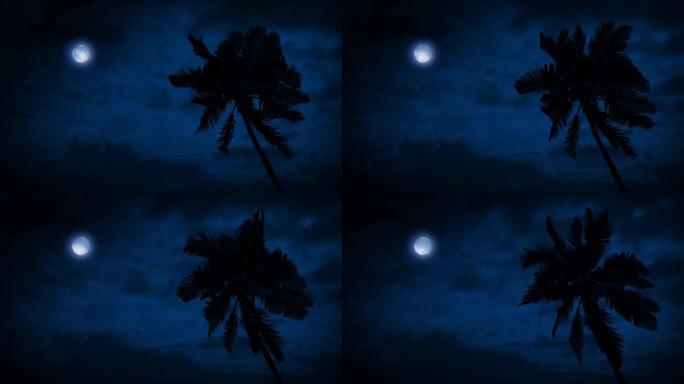 微风中的棕榈树，上面的月亮