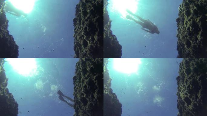 水下: 浮潜