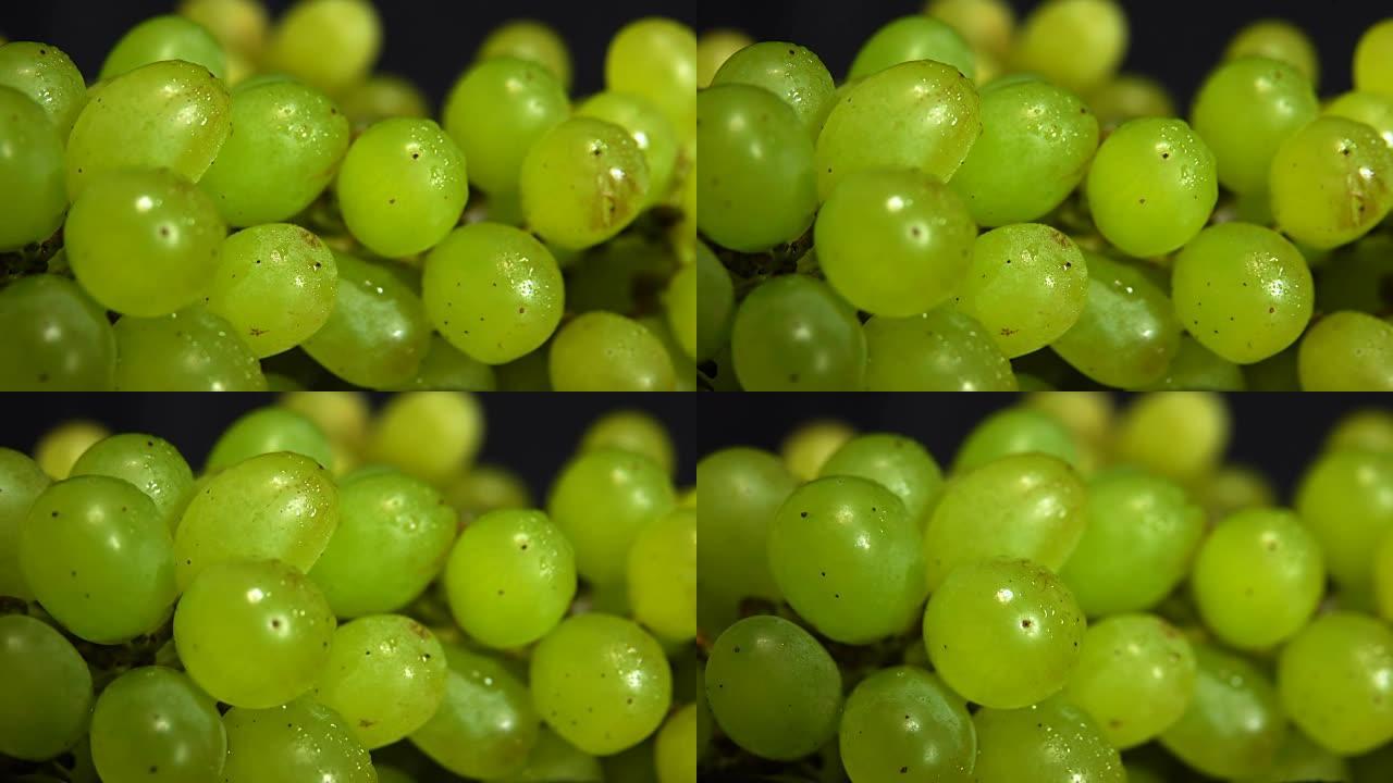 水滴中的绿色葡萄浆果