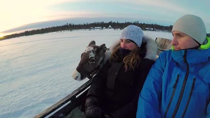 年轻夫妇骑着驯鹿雪橇吸引槽白雪皑皑的拉普兰荒野