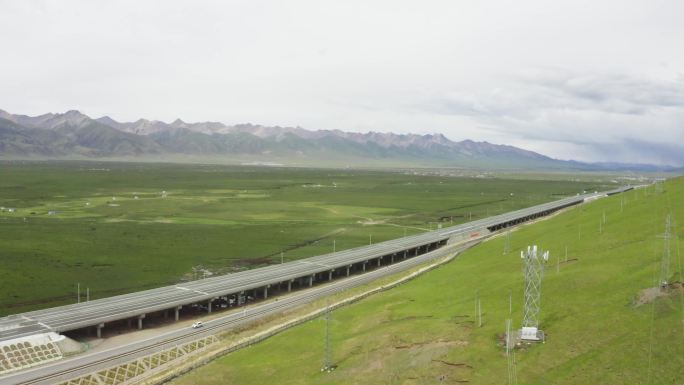 雪域高原 高原草场 高原牧场 西藏牧场