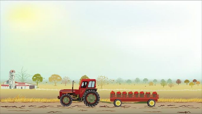 拖拉机和番茄收获拖拉机番茄收获mg卡通