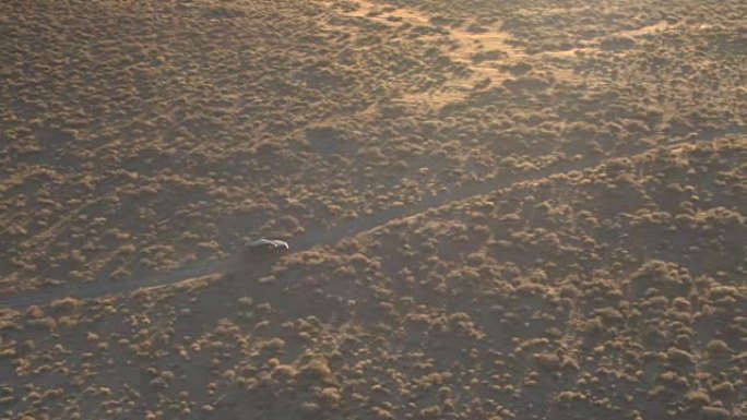 空中: 飞越黑色SUV吉普车在日出时驶过浓密的沙漠