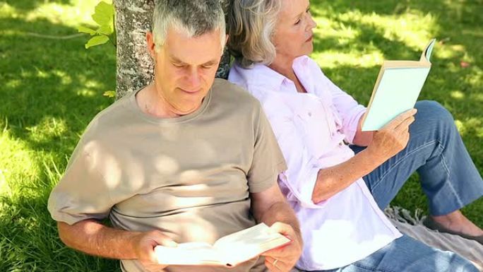 退休夫妇倚靠树木阅读