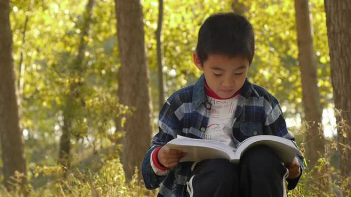 男孩在树下读书小孩看课外书