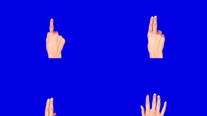 女性手。平板电脑。触摸屏手势。蓝屏。