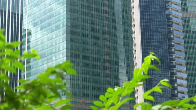 特写: 城市建筑俯瞰大都市市中心的绿色公园。