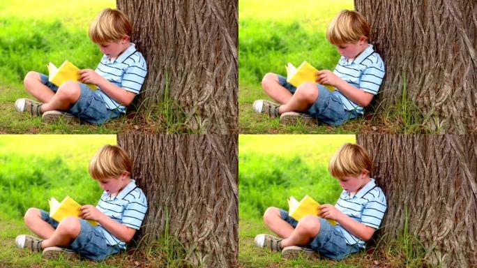 小男孩看书